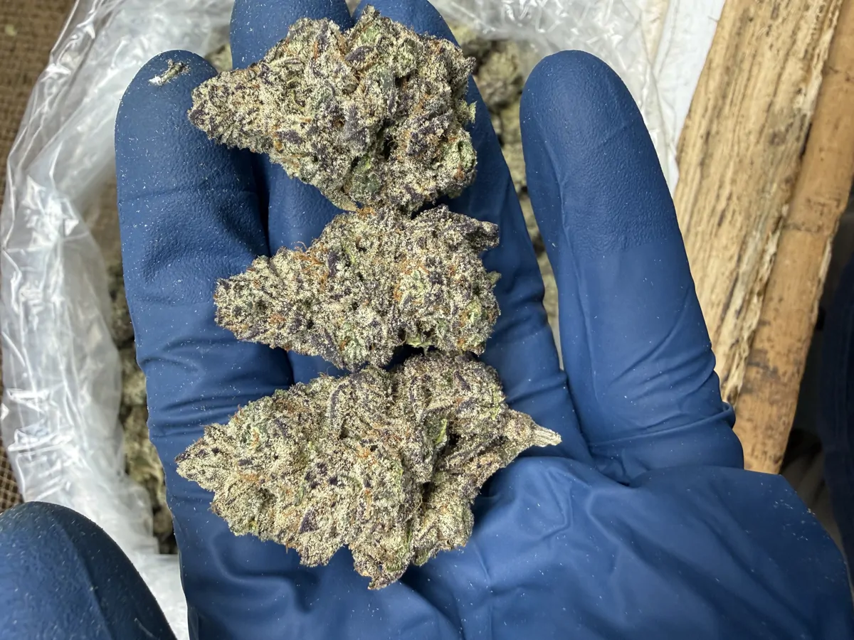 Grape Cream Cake Flower